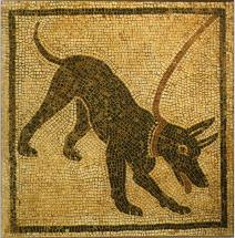 Stará rímska mozaika psa